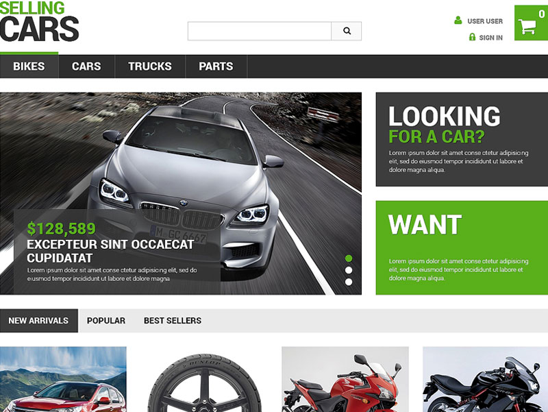 10+ Professional Templates & Themes for Online Car Dealers